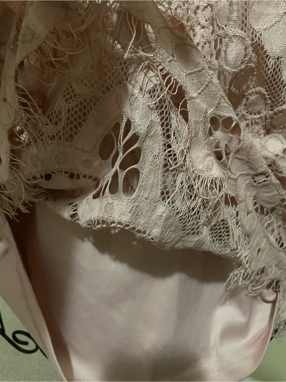 Suzanne Betro Dusty Rose Lace Crochet Puff Sleeve Top - Picture 5 of 7
